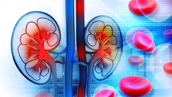 Renal Disorders